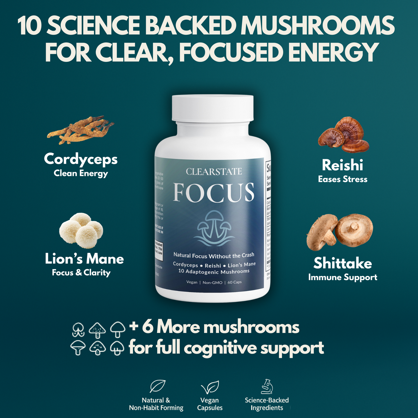 Focus Mushroom Complex
